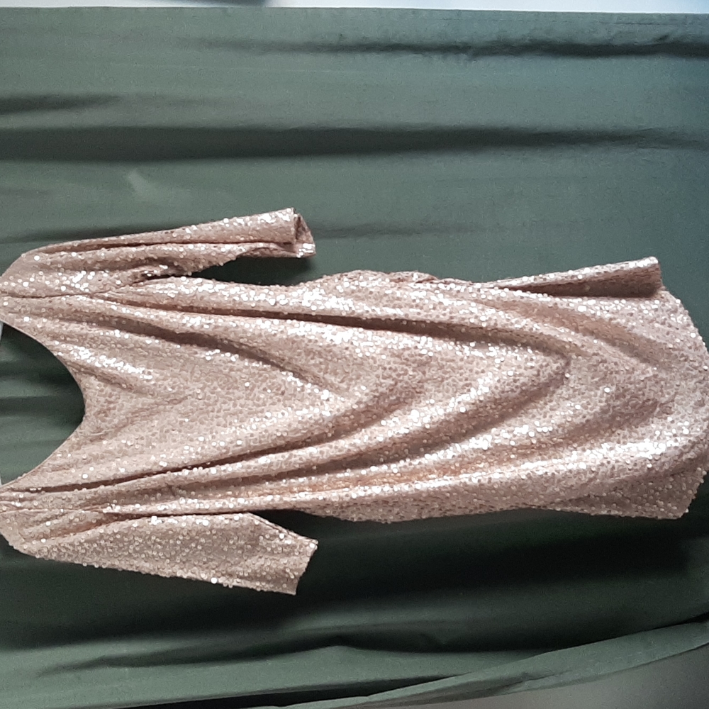 David's Bridal champagne sequined cocktail dress